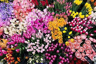 《生存主义：隐形异变》正式发售 僵尸末日生存