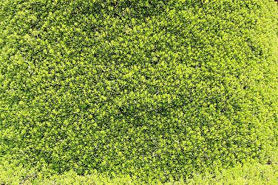 发售不到三年 《极限竞速：地平线5》玩家数突破4000万