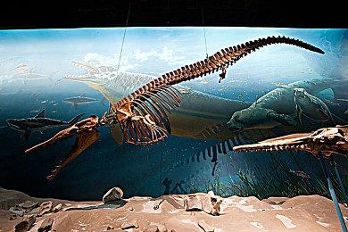 《真女神转生5》恶魔介绍：72柱魔神之一欧若博司